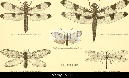 Una dissertazione su alcuni degli insetti dannosi per la vegetazione (1862) (14764308995) Foto Stock