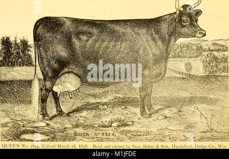 American Devon record - contenente il pedigree di pura razza Devon bovini negli Stati Uniti e il dominio del Canada (1884) (18118724205) Foto Stock