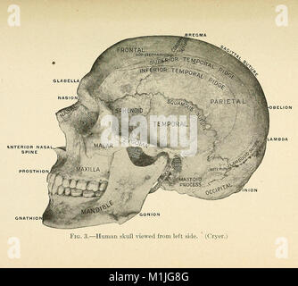 Un libro di testo di primo soccorso e di un trattamento di emergenza (1917) (14593229068) Foto Stock