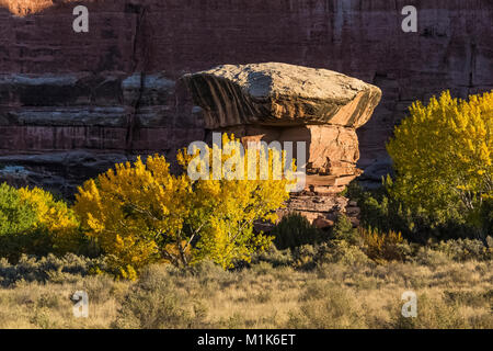 Sunrise su formazioni di arenaria, visto dal Camp SC3 all'interno di Salt Creek Canyon nel distretto di aghi del Parco Nazionale di Canyonlands, Utah, Stati Uniti d'America Foto Stock