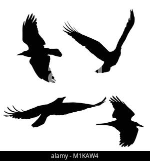 Set di vettore sagome di uccelli in volo, isolato su sfondo bianco Illustrazione Vettoriale