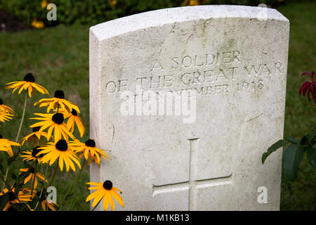 Germania, Colonia, Commonwealth War Graves cimitero della Commissione all'interno di Colonia cimitero meridionale nel quartiere Zollstock, il Commonwealth War Cemeter Foto Stock