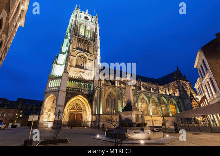 Tongeren Basilica di notte. Tongeren, la Vallonia, Belgio. Foto Stock