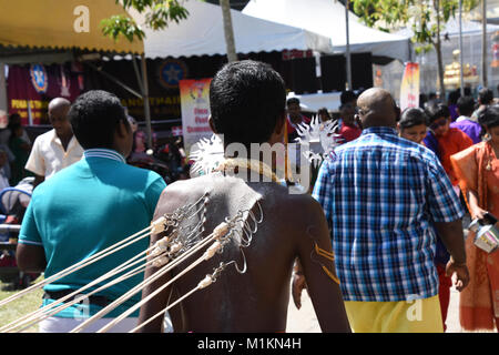 George Town, Malaysia. 31 gennaio, 2018. Thaipusam 2018 in Penang dedica una giornata con piercing e decorazioni Credito: Michael Crawford-Hick/Alamy Live News Foto Stock