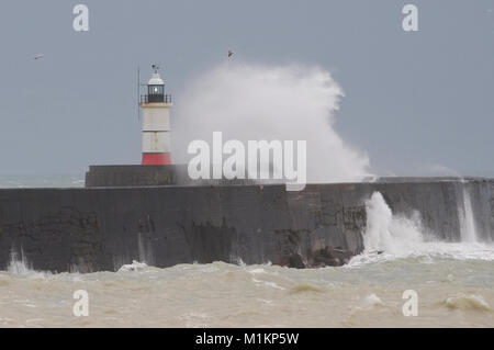 Newhaven, East Sussex. 31 gennaio, 2018. Regno Unito Meteo. Bagnato e ventoso in Newhaven, East Sussex, Credito: Peter Cripps/Alamy Live News Foto Stock
