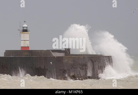 Newhaven, East Sussex. 31 gennaio, 2018. Regno Unito Meteo. Bagnato e ventoso in Newhaven, East Sussex, Credito: Peter Cripps/Alamy Live News Foto Stock