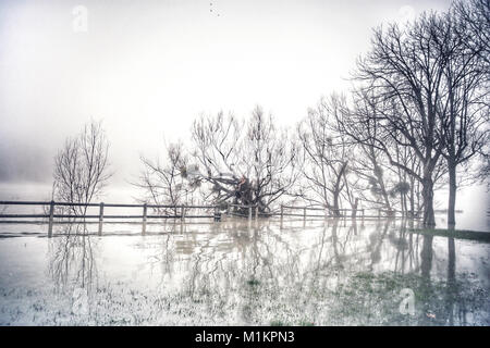 Sandrine Huet / Le Pictorium - Il fiume Senna flood, Gennaio 2018 - 27/01/2018 - Francia / Ile-de-France (Regione) / Soisy sur seine - Villaggio di Soisy sur seine, Essonne. Il fiume di acqua è salito dal 25 gennaio al 29 2018. Molte case hanno dovuto essere evacuati a causa delle alluvioni.Il fiume Senna ha raggiunto il suo punto più alto in corrispondenza della stazione di Corbeil Essonne nella notte di domenica 28 e lunedì 29 gennaio 2018, con una cresta di 4,56 m, un po' di tempo inferiore agli ultimi alluvione in giugno 2016 Foto Stock