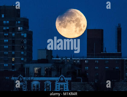 New York, Stati Uniti d'America, 31 gen 2018. L'inizio di un'eclisse lunare è vista su New York City inizio il 31 gennaio 2018. Una rara coincidenza di un blue moon, supermoon e eclissi lunare totale causerà un " sangue " luna - un evento che non è accaduto in più di 150 anni. Foto di Enrique Shore/Alamy Live News Foto Stock