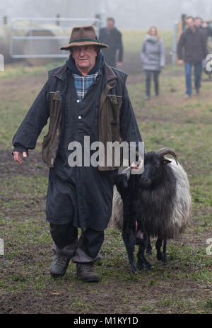 Il pastore Ralf Bachmann porta un agnello che è solo un paio di ore nella riserva naturale di Lueneburg Heath vicino Niederhaverbeck, Germania, 26 gennaio 2018. Foto: Philipp Schulze/dpa Foto Stock