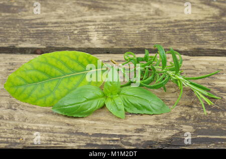 Herb basi rosmarino e alloro su sfondo di legno Foto Stock