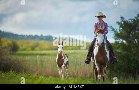 Pintabian. Pilota sul mare accompagnati da puledro su un cross-country ride. Germania Foto Stock