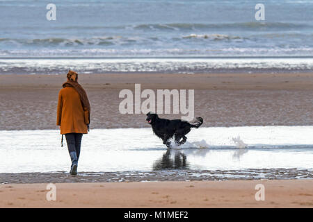 Lonely Donna che cammina su una desolazione spiaggia sabbiosa con giocosa cane nero che corre attraverso l'acqua lungo la costa del Mare del Nord in inverno Foto Stock