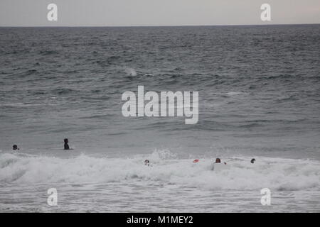 Surfers nel Devon con il surf delfini, Trebarwith Strand spiaggia, Inghilterra Foto Stock