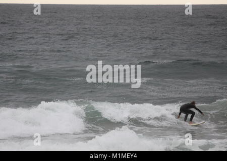 Surfers nel Devon con il surf delfini, Trebarwith Strand spiaggia, Inghilterra Foto Stock