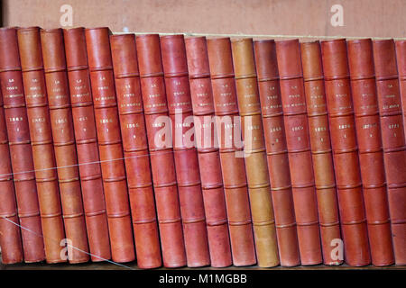 Vintage di libri in diverse sfumature di rosso e marrone in libreria nel castello Montresor. Valle della Loira, Francia Foto Stock