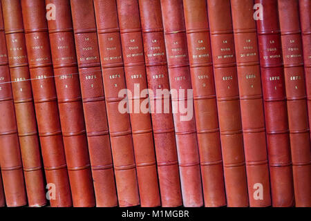 Vintage di libri in diverse sfumature di rosso e marrone in libreria nel castello Montresor. Valle della Loira, Francia Foto Stock