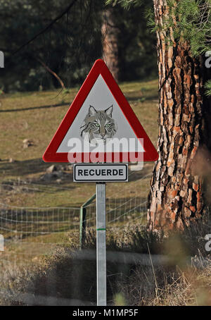 Lince iberica cartello di avviso per i conducenti ad essere consapevoli del Parque Natural Sierra de Andujar, Jaen, Spagna gennaio Foto Stock