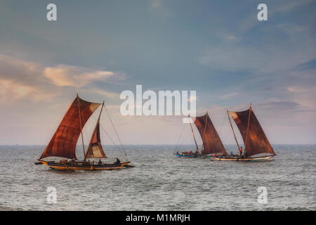 Spiaggia di Negombo, Oruwa, Colombo, provincia occidentale, Sri Lanka, Asia Foto Stock