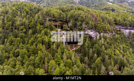 Vista aerea della doppia caduta di acqua in una foresta. Foto Stock