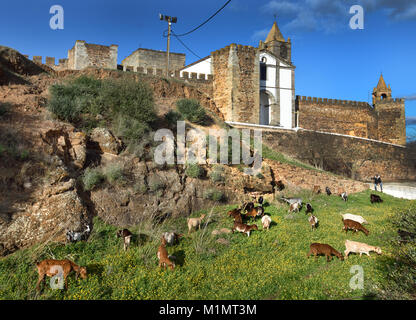 Pastore con capre castello di Mourão - Castelo de Mourão Portogallo portoghese. ( Mourão era un altro della città di confine contestato da Spagna e Portogallo nel 13C fino a quando nel 1297 re Dinis ha firmato il Trattato di Alcañices con il re spagnolo, Fernando IV ) Foto Stock