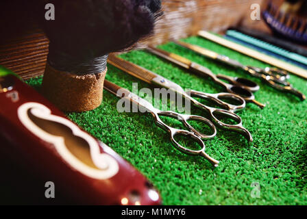 Forbici per taglio su un tappeto verde in Barberia Foto Stock