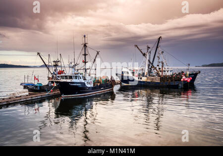 Attività di pesca i pescherecci con reti da traino, governo Wharf in Port Hardy, Nord Isola di Vancouver, British Columbia, Canada Foto Stock