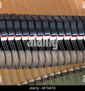 Abstract guardare all'interno di un bechstein pianoforte Foto Stock