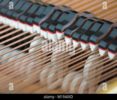 Abstract guardare all'interno di un bechstein pianoforte Foto Stock