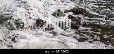 Ramo di albero sulle rocce nel flusso, una piccola cascata. sfondo, natura. Foto Stock