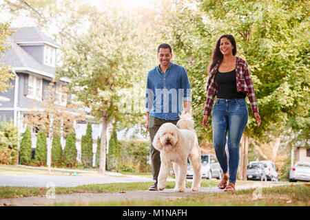 Giovane cane a piedi lungo la strada suburbana Foto Stock