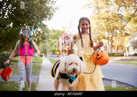 I bambini e il cane in costumi di Halloween per il trucco o il trattamento Foto Stock