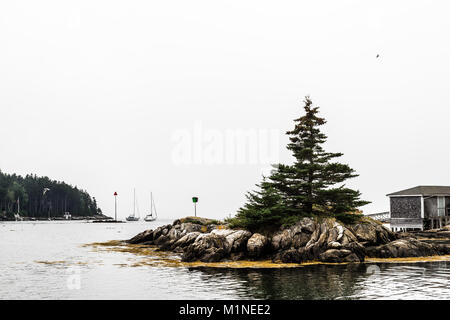 Natale Cove   South Bristol, Maine, Stati Uniti d'America Foto Stock