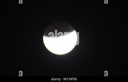 Di Allahabad, India. 31 gennaio, 2018. Una vista della luna di sangue durante il Lunar Eclipse all università di Allahabad. Credito: Prabhat Kumar Verma/Pacific Press/Alamy Live News Foto Stock