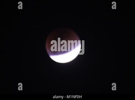 Di Allahabad, India. 31 gennaio, 2018. Una vista della luna di sangue durante il Lunar Eclipse all università di Allahabad. Credito: Prabhat Kumar Verma/Pacific Press/Alamy Live News Foto Stock