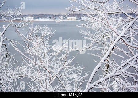 Coperta di neve rami con fiume sullo sfondo. Highlands, New Jersey Foto Stock