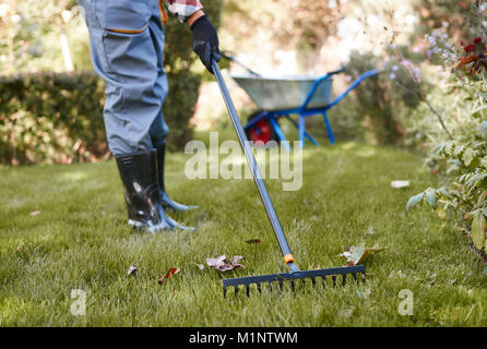 Irriconoscibile l uomo a rastrellare foglie in giardino Foto Stock