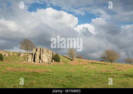 Una immagine di un affioramento di rocce in sera sunshine shot al Beacon Hill, Leicestershire, England, Regno Unito Foto Stock