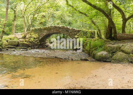 Una immagine di un antico packhorse ponte sopra il fiume Bovey, Dartmoor, Dvon, England Regno Unito Foto Stock