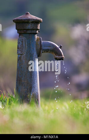 Nei parchi sull'erba verde gru permanente con il gocciolamento di gocce d'acqua. In una giornata di sole. Foto Stock