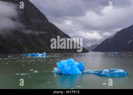 Tracy Arm Fjord, compensazione mist, blu brillante iceberg, Cascades e scorcio del Sud Sawyer Glacier, Alaska, Stati Uniti d'America, America del Nord Foto Stock