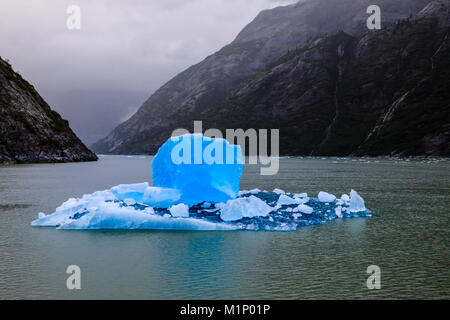 Spettacolari iceberg, con splendide blue cubo, Tracy Arm Fjord misty condizioni, vicino a sud Sawyer Glacier, Alaska, Stati Uniti d'America, America del Nord Foto Stock