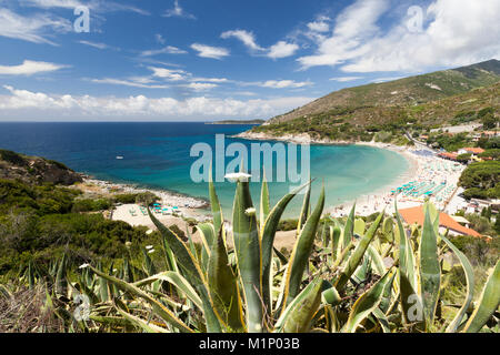 Vista del mare turchese e Spiaggia di Cavoli, Marciana, Isola d'Elba, Provincia di Livorno, Toscana, Italia, Europa Foto Stock