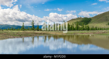 Stagno di acqua e di abeti in White Lake National Park, Tariat distretto, Nord provincia Hangay, Mongolia, Asia Centrale, Asia Foto Stock