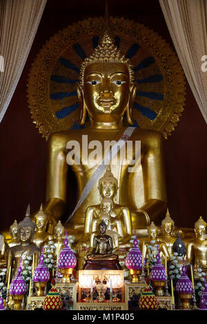 Statue di Buddha in Wat Chedi Luang, Chiang Mai, Thailandia, Sud-est asiatico, in Asia Foto Stock