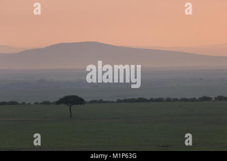 Foschia sopra il masai Mara a sunrise come si vede da una mongolfiera Foto Stock