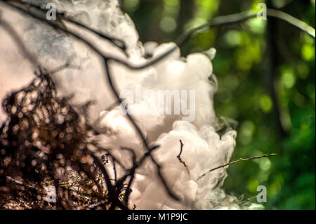 Accendere il fuoco. Macro shot di falò, fumo bianco, caldo incandescente del carbone e del fuoco. La masterizzazione di rami e legno. Le fiamme nel camino, casa accogliente, calore Foto Stock