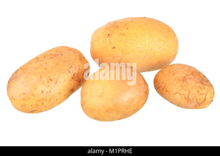 Varietà di patata talento, piastre di libero, Kartoffelsorte talento, Freisteller Foto Stock