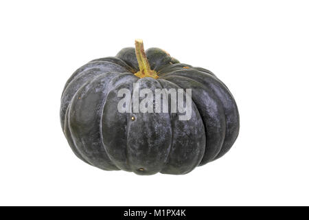 La noce moscata commestibile zucca zucca, noce moscata de provence. Prodotti alimentari pregiati di zucca., Speisekürbis der Muskatkürbis, Muskat de provence. Wertvoller Speisekür Foto Stock