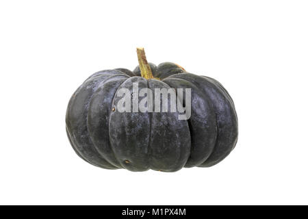 La noce moscata commestibile zucca zucca, noce moscata de provence. Prodotti alimentari pregiati di zucca., Speisekürbis der Muskatkürbis, Muskat de provence. Wertvoller Speisekür Foto Stock