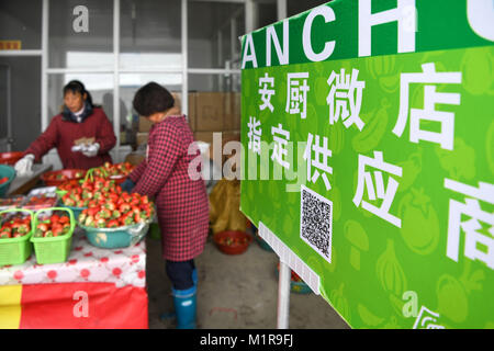 Jiande cinese della provincia dello Zhejiang. 31 gennaio, 2018. Pacchetto di agricoltori fragole Yangcunqiao nella città di Jiande City, est della Cina di Provincia dello Zhejiang, Gennaio 31, 2018. La zona di piantagione di fragole qui è di oltre 333 ettari con valore annuale della produzione di raggiungere 700 milioni di yuan (circa 111 milioni di dollari). La città ha salutato 50.000 turisti lo scorso anno. Credito: Shen Hong/Xinhua/Alamy Live News Foto Stock